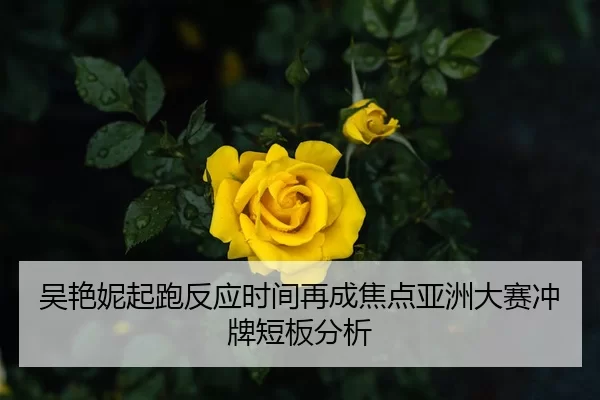 吴艳妮起跑反应时间再成焦点亚洲大赛冲牌短板分析