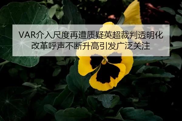VAR介入尺度再遭质疑英超裁判透明化改革呼声不断升高引发广泛关注