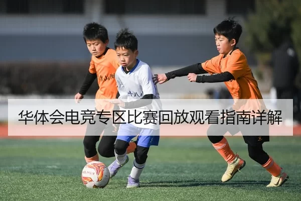 华体会电竞专区比赛回放观看指南详解