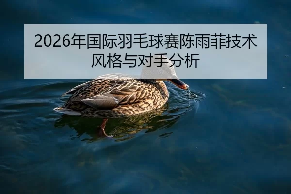 2026年国际羽毛球赛陈雨菲技术风格与对手分析