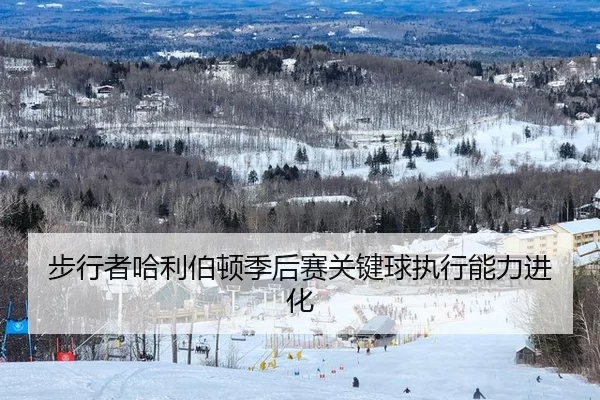 步行者哈利伯顿季后赛关键球执行能力进化