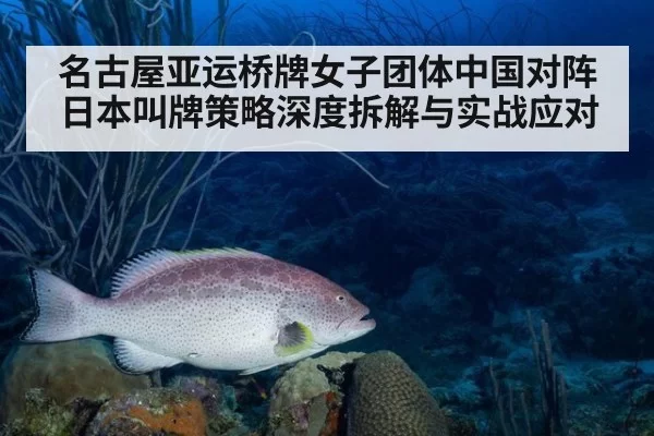 名古屋亚运桥牌女子团体中国对阵日本叫牌策略深度拆解与实战应对